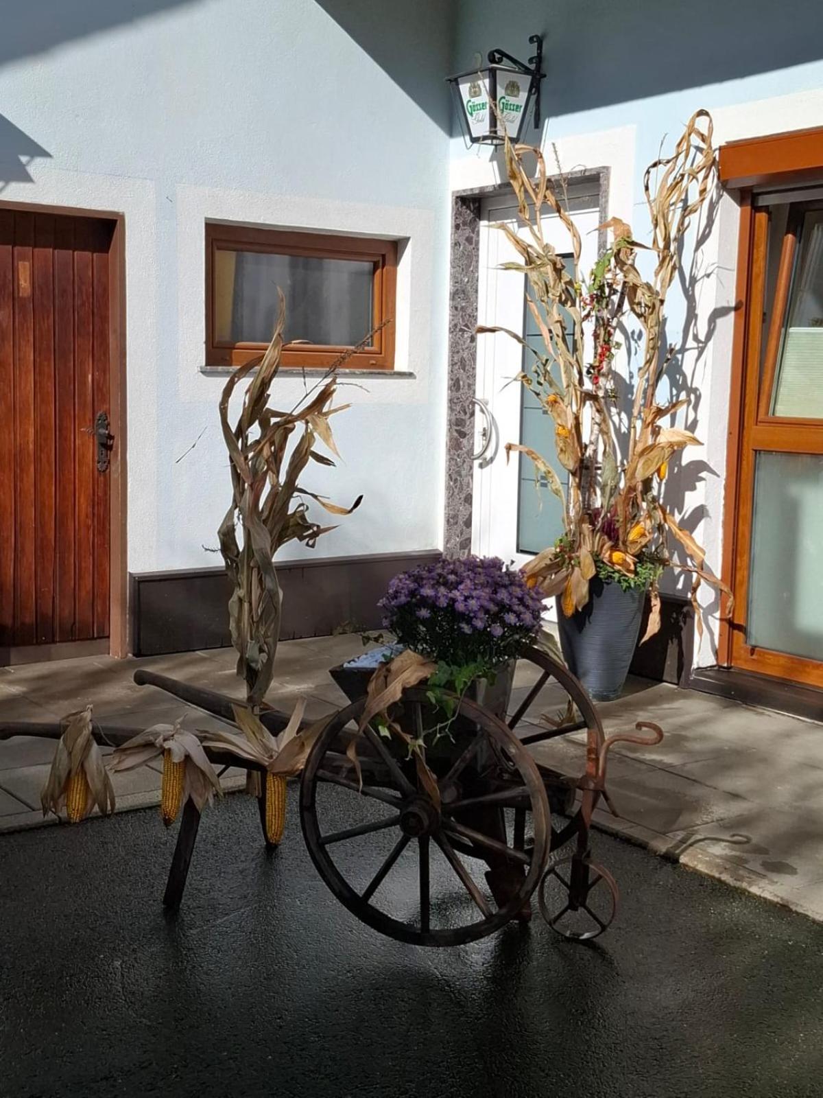 Ferienwohnung Heiabett Wies エクステリア 写真