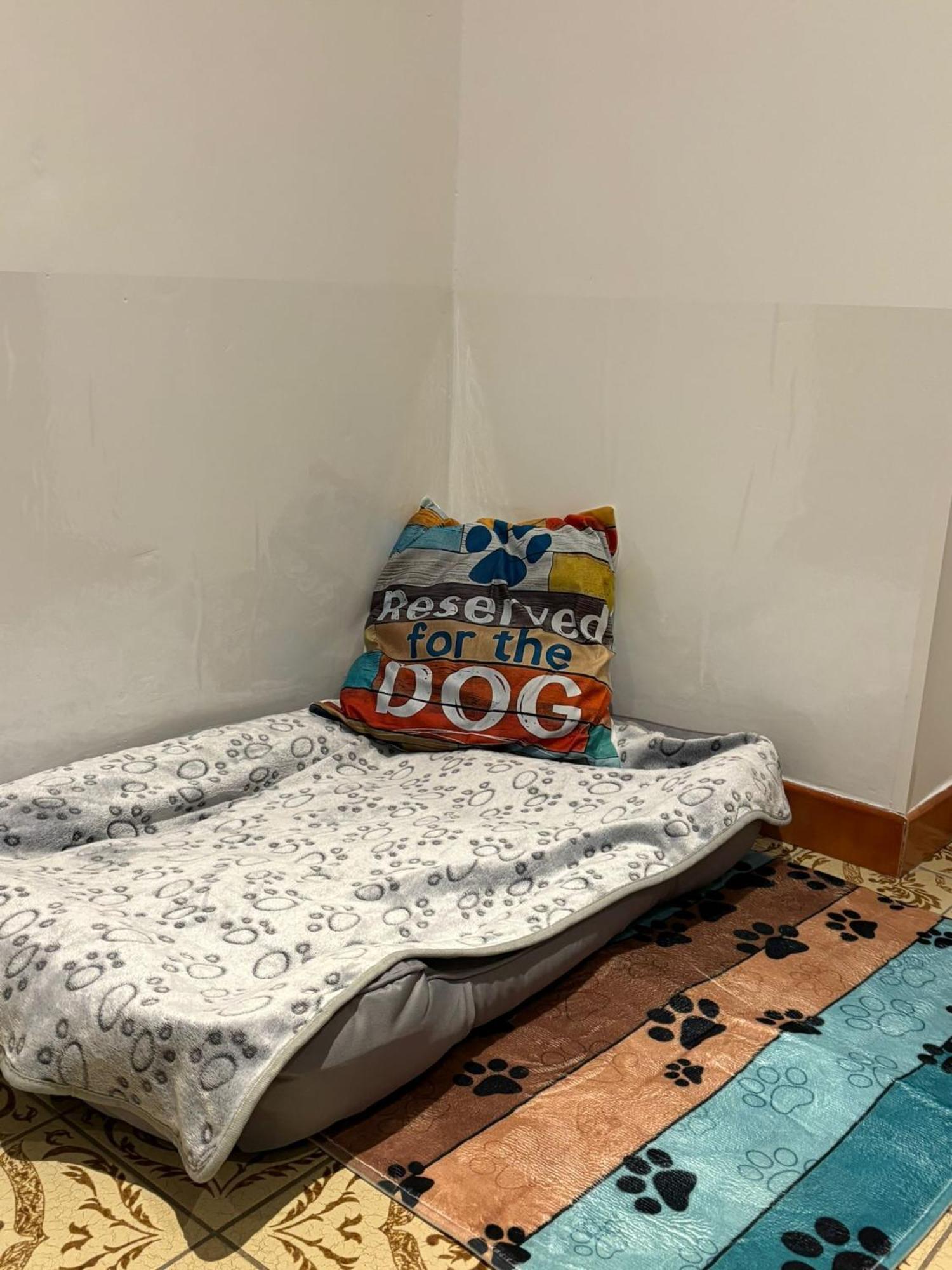 Ferienwohnung Heiabett Wies エクステリア 写真